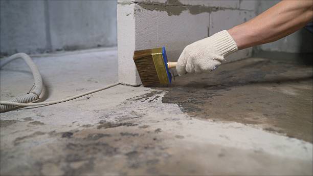 24/7 Emergency Interior Drainage System experts in Big Rock, TN